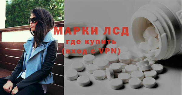 ГАЛЛЮЦИНОГЕННЫЕ ГРИБЫ Богданович