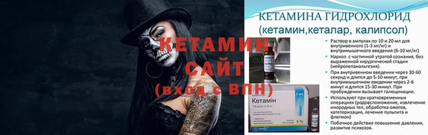ГАЛЛЮЦИНОГЕННЫЕ ГРИБЫ Богданович