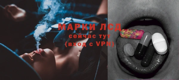 ГАЛЛЮЦИНОГЕННЫЕ ГРИБЫ Богданович