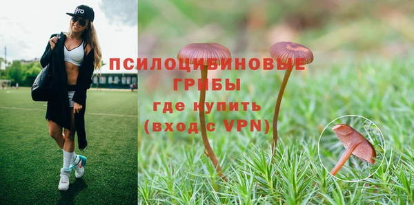 ALPHA PVP Богородск