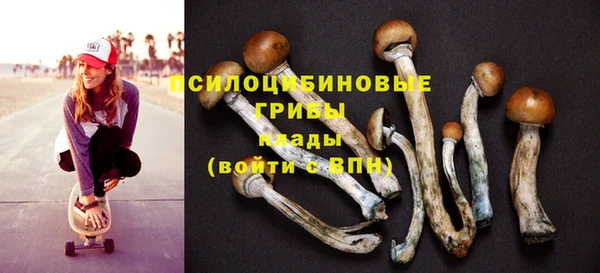 ГАЛЛЮЦИНОГЕННЫЕ ГРИБЫ Богданович