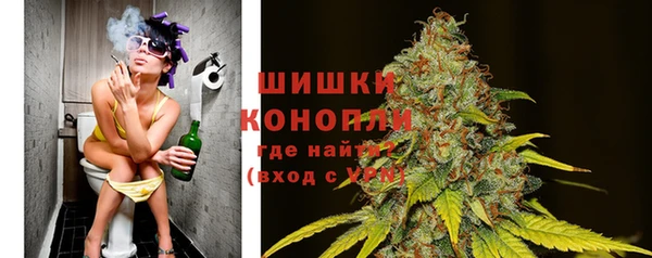 ГАЛЛЮЦИНОГЕННЫЕ ГРИБЫ Богданович