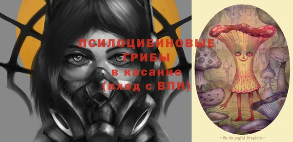 ГАЛЛЮЦИНОГЕННЫЕ ГРИБЫ Богданович