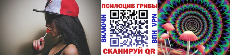 Псилоцибиновые грибы мицелий  купить наркоту  Горячий Ключ 